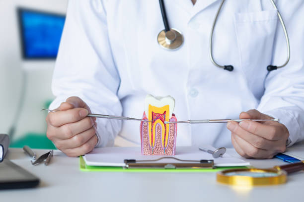 Best Emergency Dentist for Lost Fillings or Crowns in Laupahoehoe, HI